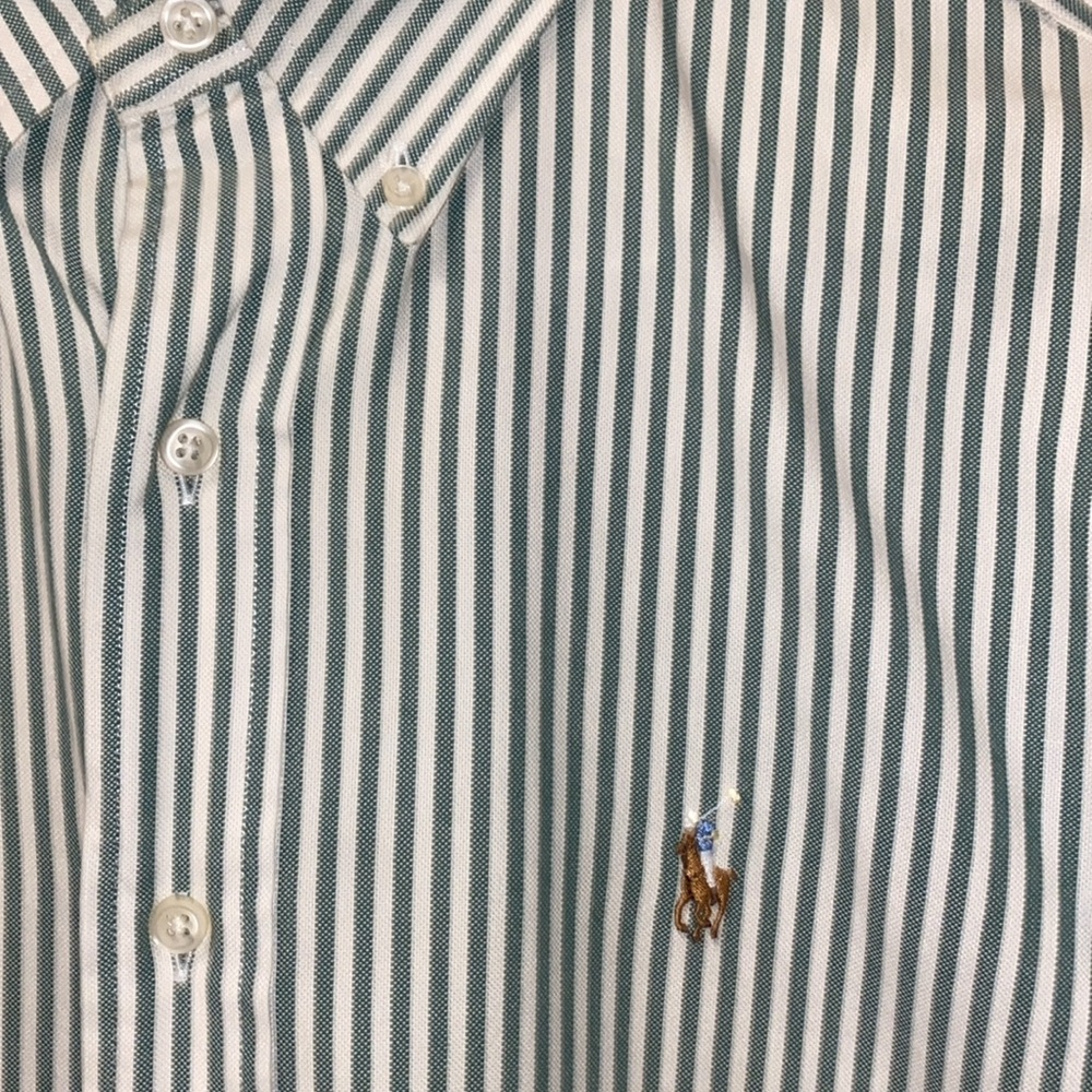 Polo Ralph Lauren Oxford Shirt (Green/White)